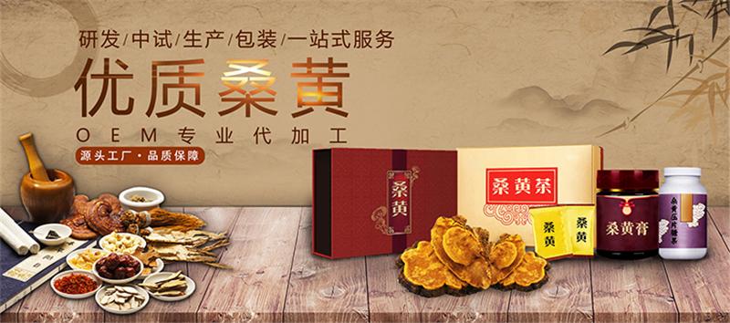 桑黄代用茶贴牌代加工 桑黄贴牌 质量严格挑选